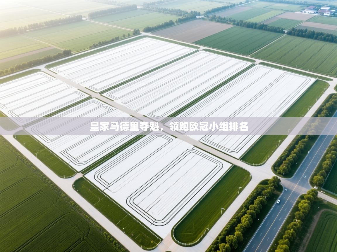 开云体育夜间模式开启-皇家马德里夺魁，领跑欧冠小组排名  第1张