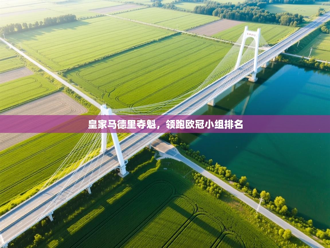 开云体育夜间模式开启-皇家马德里夺魁，领跑欧冠小组排名  第2张