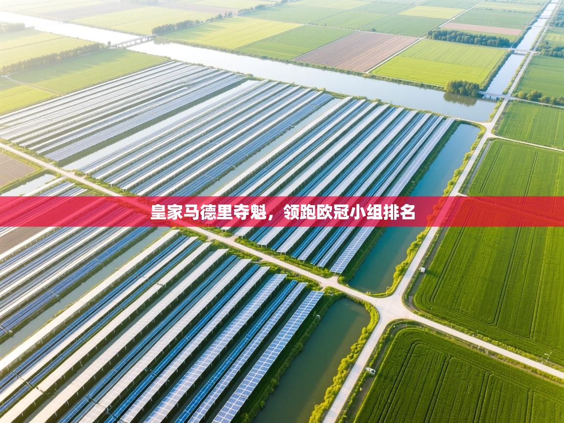 开云体育夜间模式开启-皇家马德里夺魁，领跑欧冠小组排名  第4张