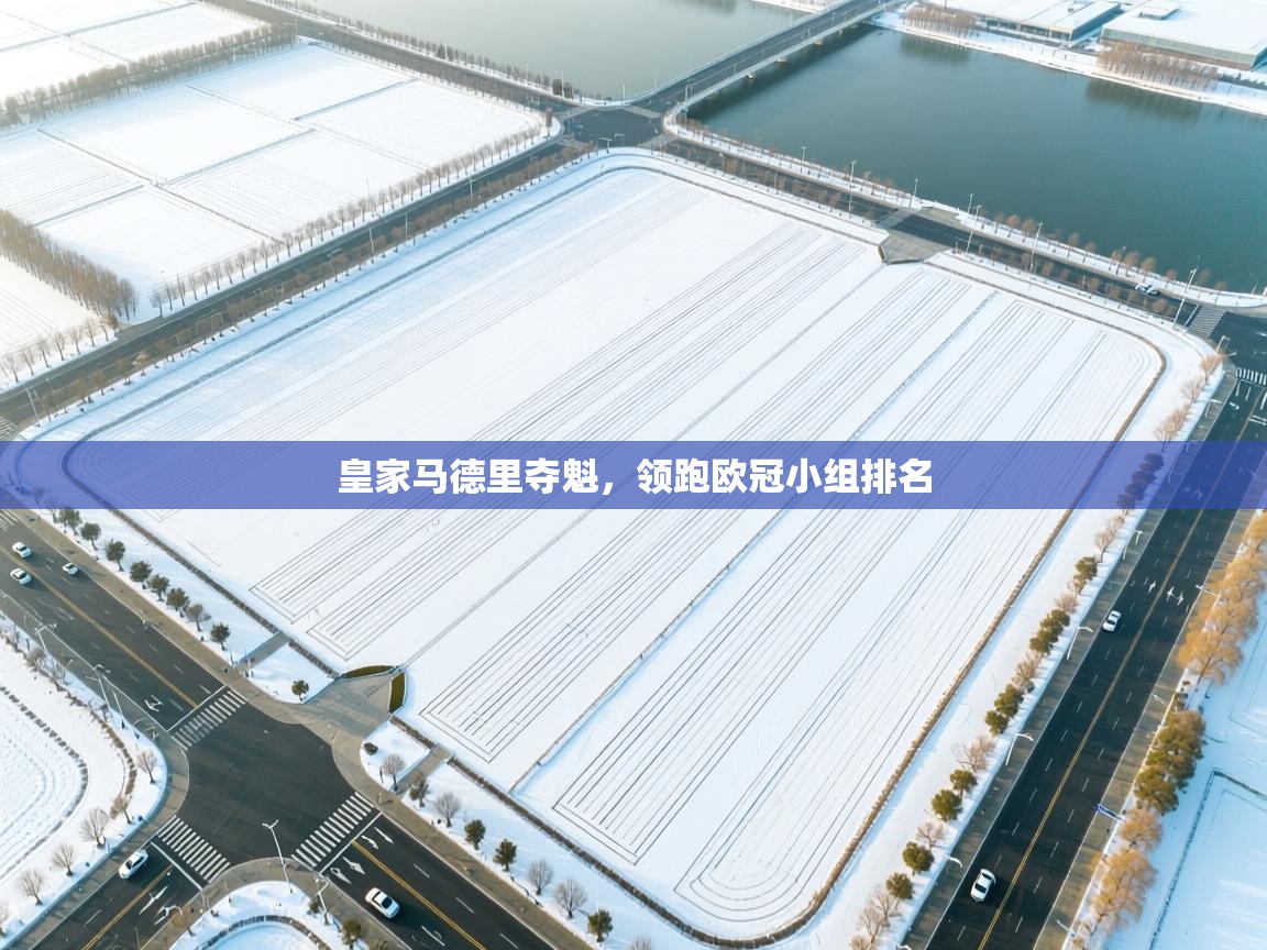 开云体育夜间模式开启-皇家马德里夺魁，领跑欧冠小组排名  第3张